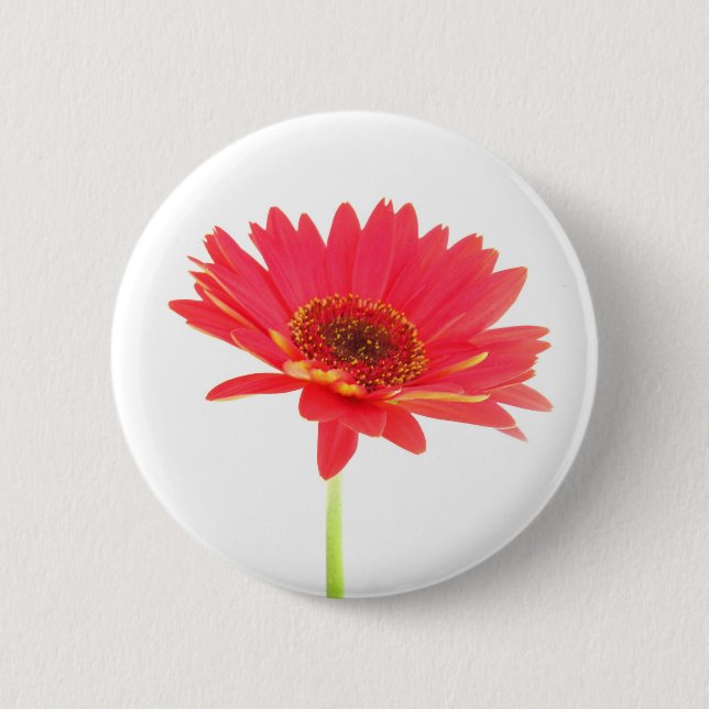 Red Gerbera Daisy Floral Button (Front)