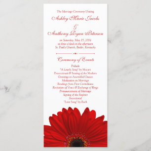 Red Gerbera Daisy Flower Programme de mariage blan