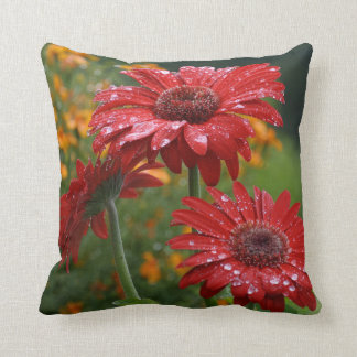 Red Gerbera Daisy Pillow
