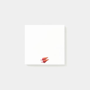 Red Ghost Dance Buffalo white note pads