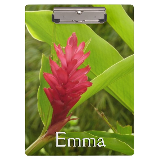 Red Ginger Flower (Alpinia) Tropical Clipboard (Front)