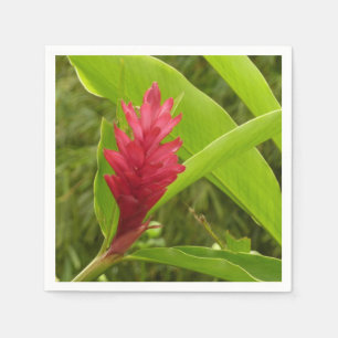 Red Ginger Flower (Alpinia) Tropical Napkin
