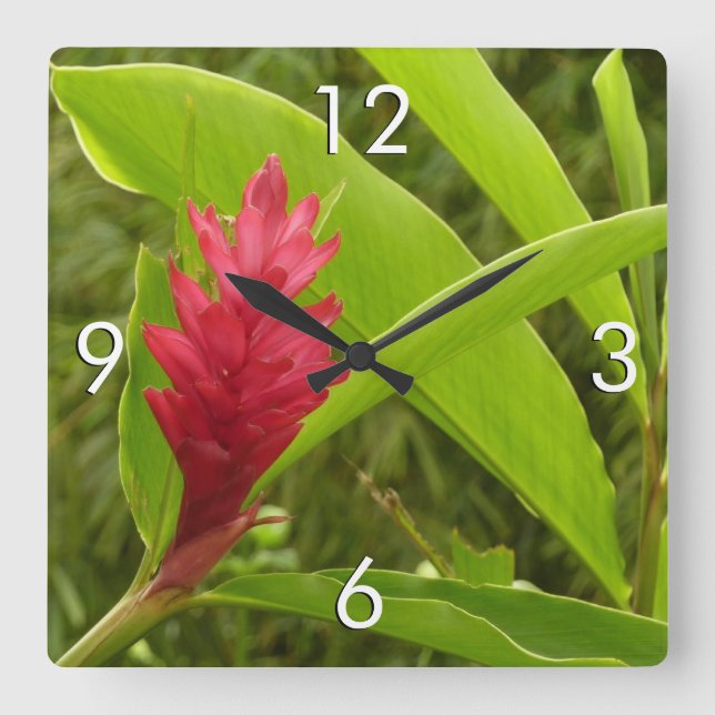 Red Ginger Flower (Alpinia) Tropical Square Wall Clock (Front)