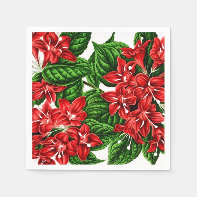 Red ginger flowers, vintage print napkin (Front)