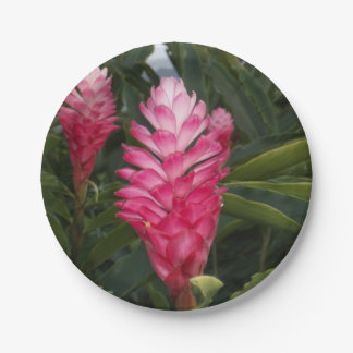 Red Ginger Paper Plate