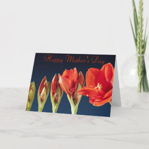 Red Gladiolus Mother's Day Card