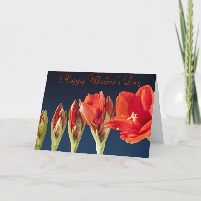 Red Gladiolus Mother's Day Card (Front)