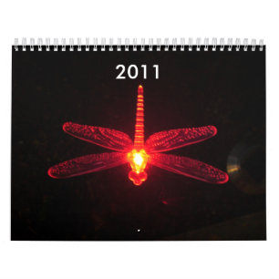 Red Glowing Dragonfly, Be Inspired, 2012 Calendar