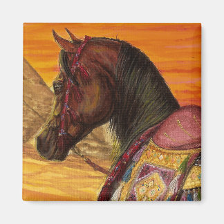 Red & Gold Arabian cheval carré aimant