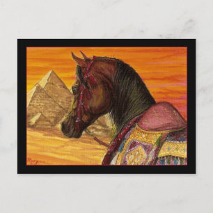 Red & Gold Arabian horse postcard