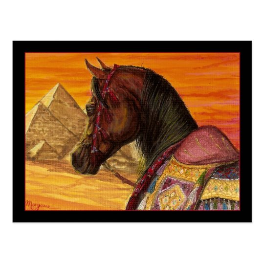 Red & Gold Arabian horse postcard