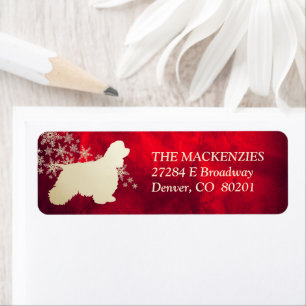 Red Gold Winter American Cocker Spaniel