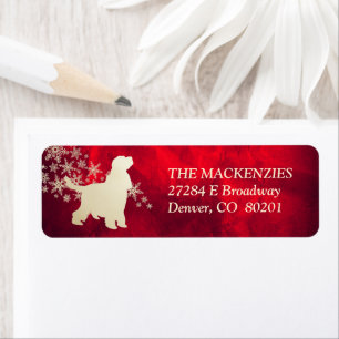 Red Gold Winter Anglais Cocker Spaniel