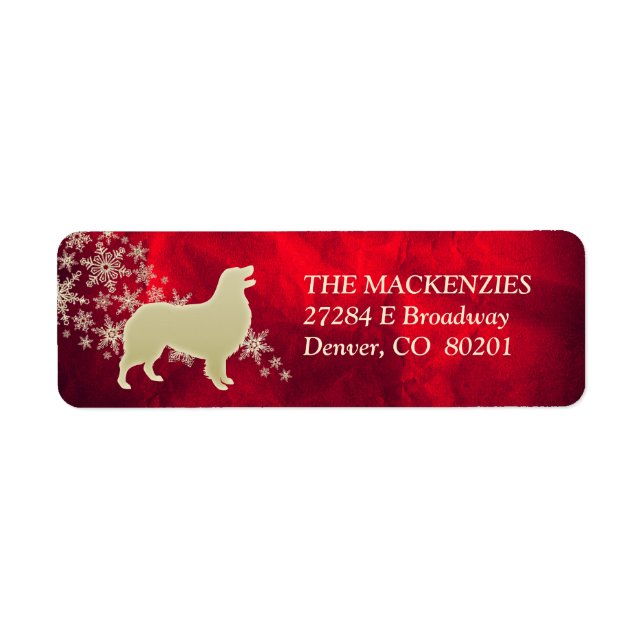 Red Gold Winter Australian Shepherd (Front)