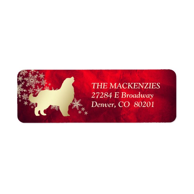 Red Gold Winter Bernese Mountain Dog (Devant)