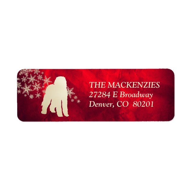 Red Gold Winter Labradoodle Dog (Front)