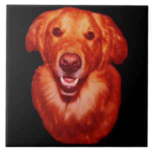 Red Golden Retriever Dog Lover Kitchen Tile