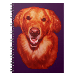 Red Golden Retriever Front Profile Notebook