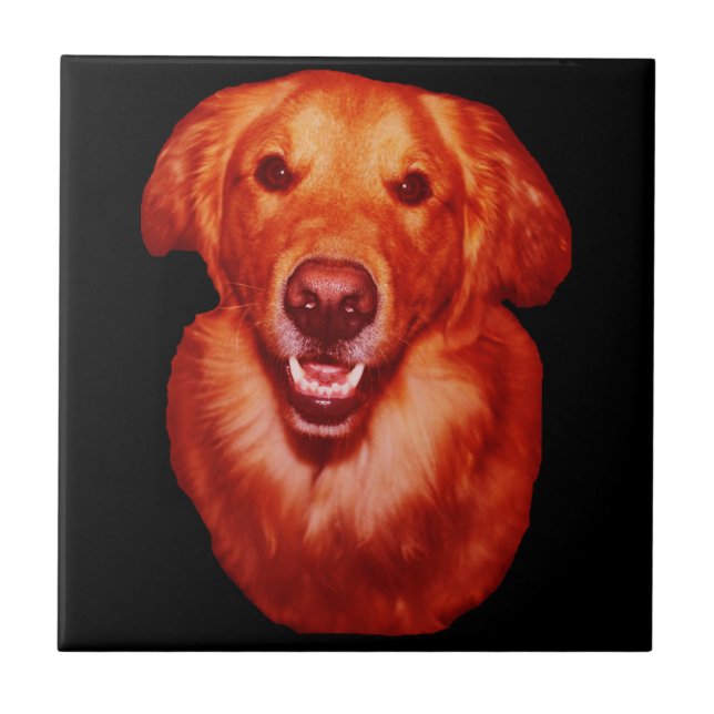 Red Golden Retriever Front Profile Tile (Front)