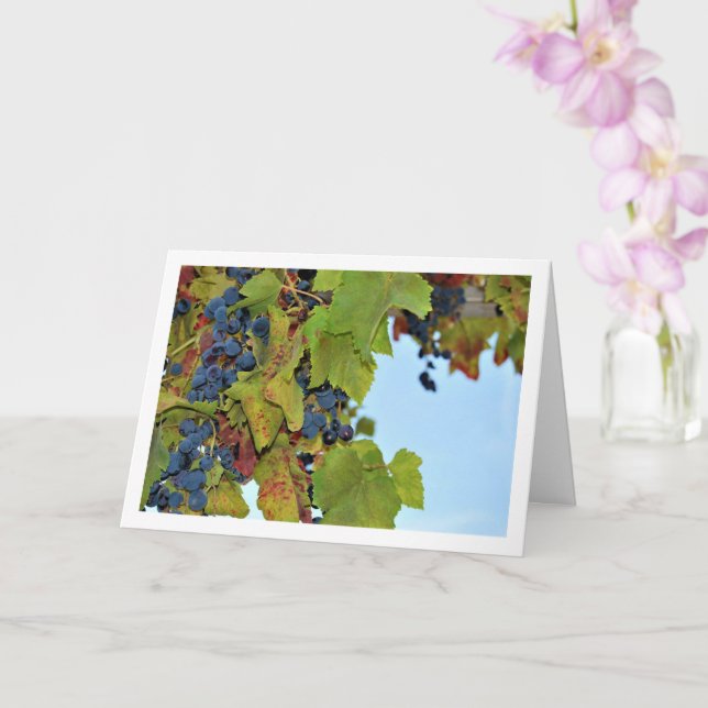 Red Grape Vine in Blue Sky Card (Orchid)