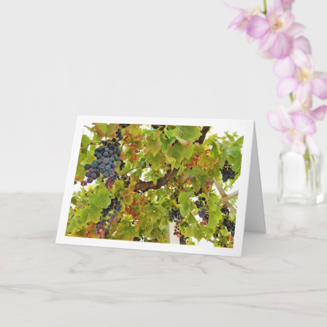 Red Grape Vine Portrait Card (Orchid)