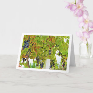 Red Grape Vine Portrait Card