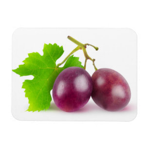 Red grapes magnet