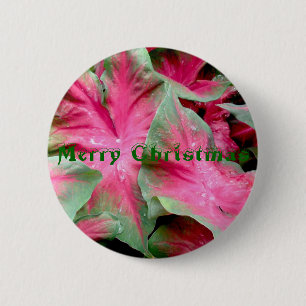Red Green Caladium Merry Christmas Badge 2 Inch Round Button