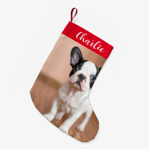 Red Green Dog Photo Personalized Name Small Christmas Stocking