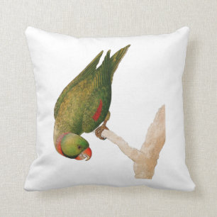 Red Green Parrot Throw Pillow