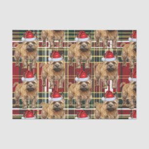 Red Green Plaid Cairn Terrier Christmas Holiday Tissue Paper