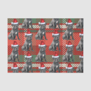 Red Green Plaid Cane Corso Dog Christmas Holiday Tissue Paper