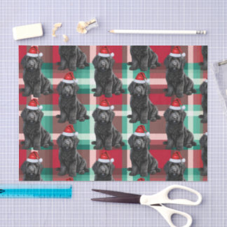 Red Green Plaid Labradoodle Dog Christmas Holiday Tissue Paper