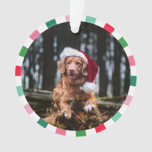 Red Green Starburst Stripes Chien Noël