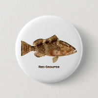 Red Grouper Fish