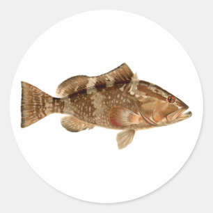Red Grouper Logo Classic Round Sticker