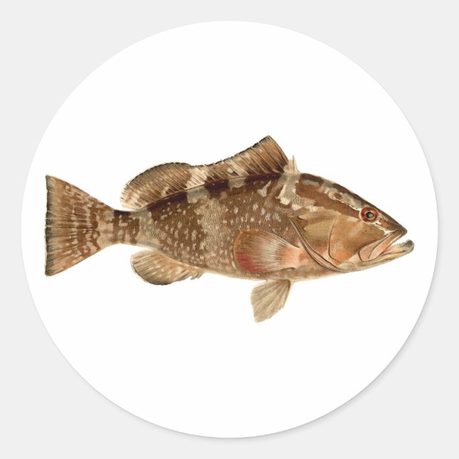 Red Grouper Logo Classic Round Sticker (Front)