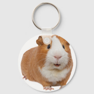 red guinea keychain
