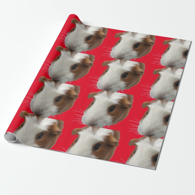 red guinea pig wrapping paper (Unrolled)