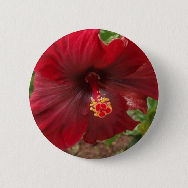 red hawaii hibiscus plant 2 inch round button (Front)