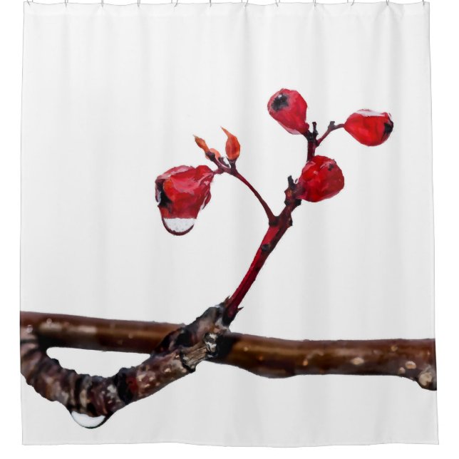 Red Hawthorn Berries (Front)