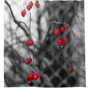 Red Hawthorn Berries