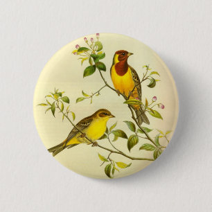 Red-headed Bunting Emberiza bruniceps 2 Inch Round Button
