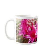 Red Headed Irishman Cactus, Customizable!