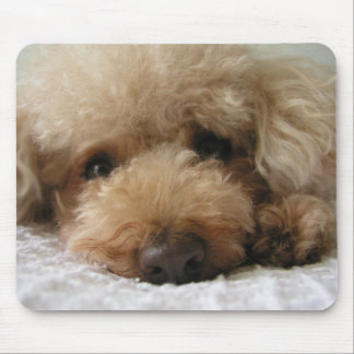 Red Headed Poodle Mouse Pad