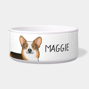 Red Headed Tricolor Pembroke Welsh Corgi And Name