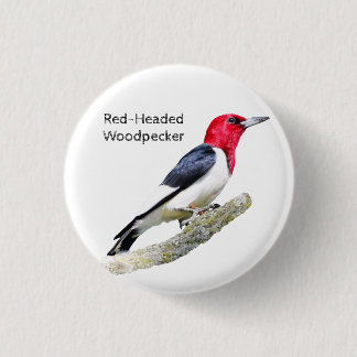 Red-Headed Woodpecker 1 Inch Round Button