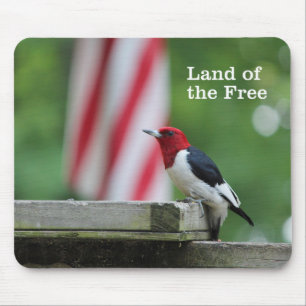 Red-headed Woodpecker 2 Mouse Pad
