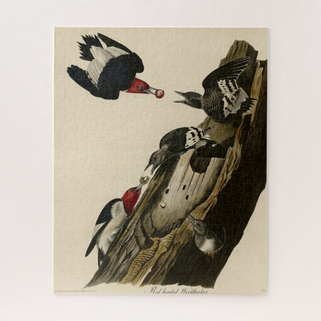 Red headed Woodpecker - Audubon's Birds of America Jigsaw Puzzle (Vertical)