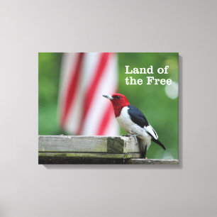 Red-headed Woodpecker Canvas Print